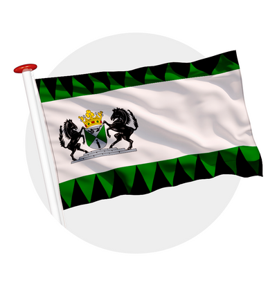 vlag Emmen