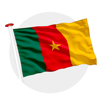 vlag Kameroen