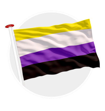 vlag non binaire pride