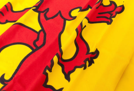 Top 5 mooiste vlaggen met een leeuw