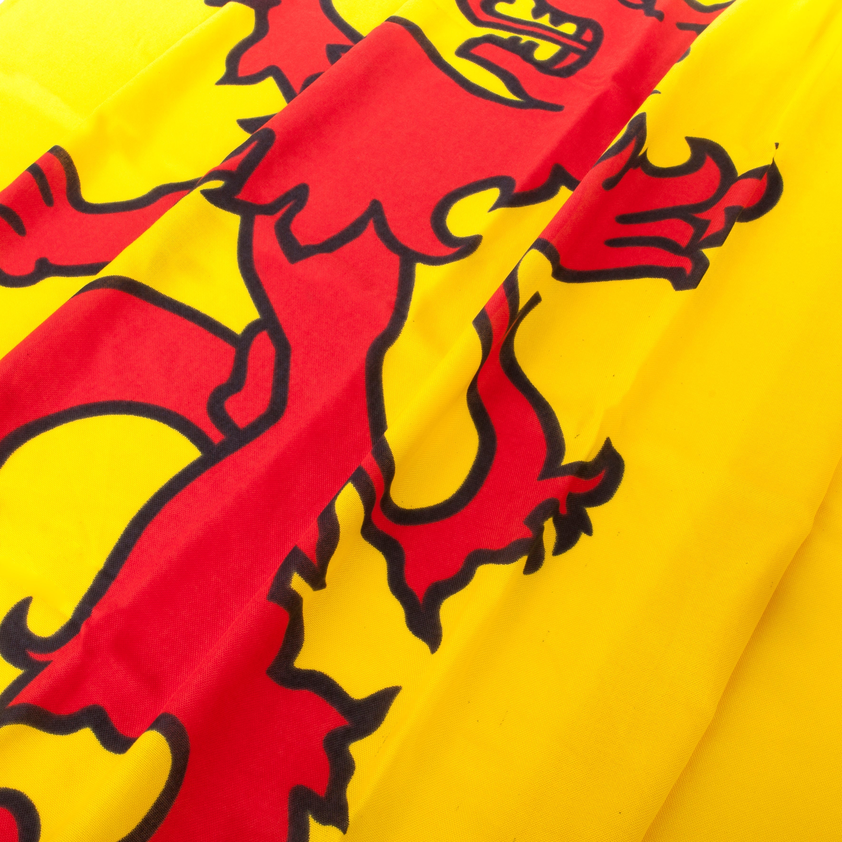 Top 5 mooiste vlaggen met een leeuw