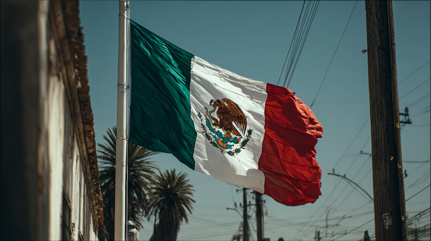 Wat maakt een goede vlag herkenbaar en krachtig?