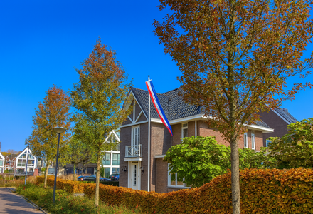 Waarom een vlaggenmast in de tuin een waardevolle investering is