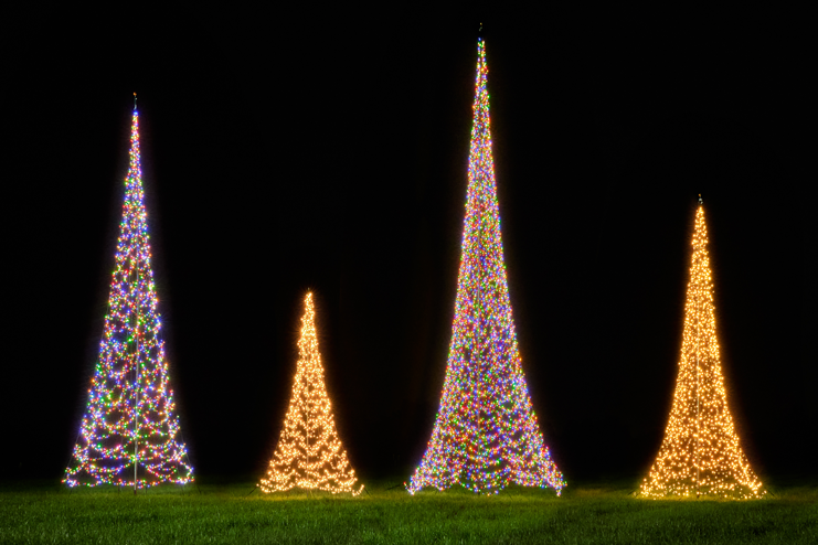 Waar koop ik de beste kerstboom voor in de vlaggenmast?