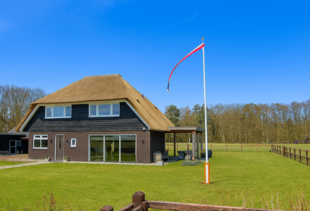 Waar koop ik de beste wimpels?