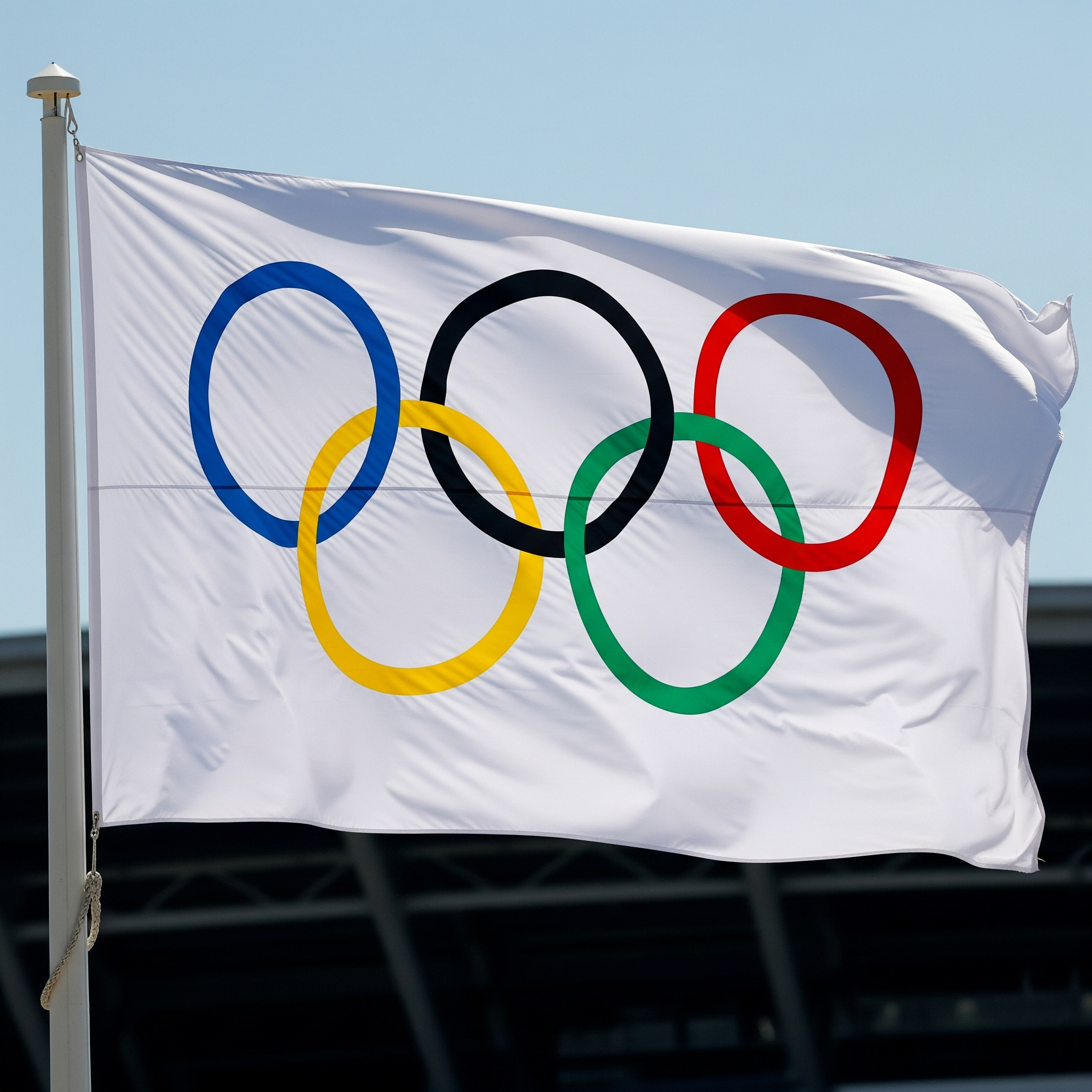 Olympische vlag