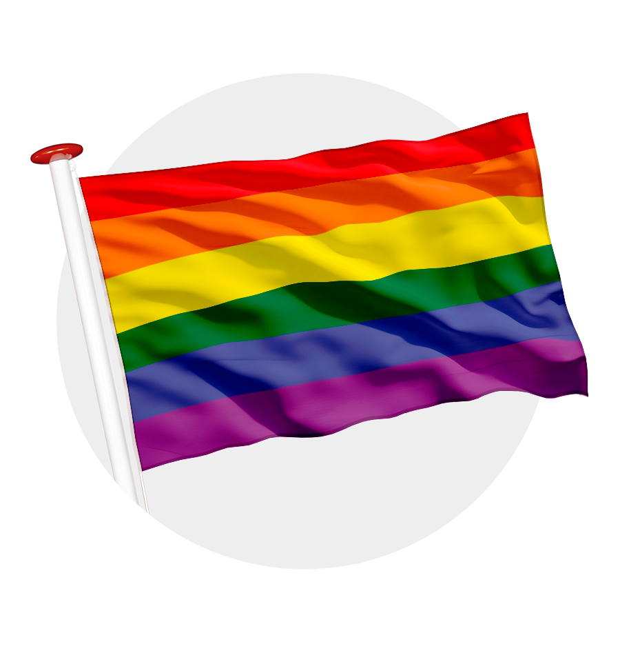 regenboog Pride vlag