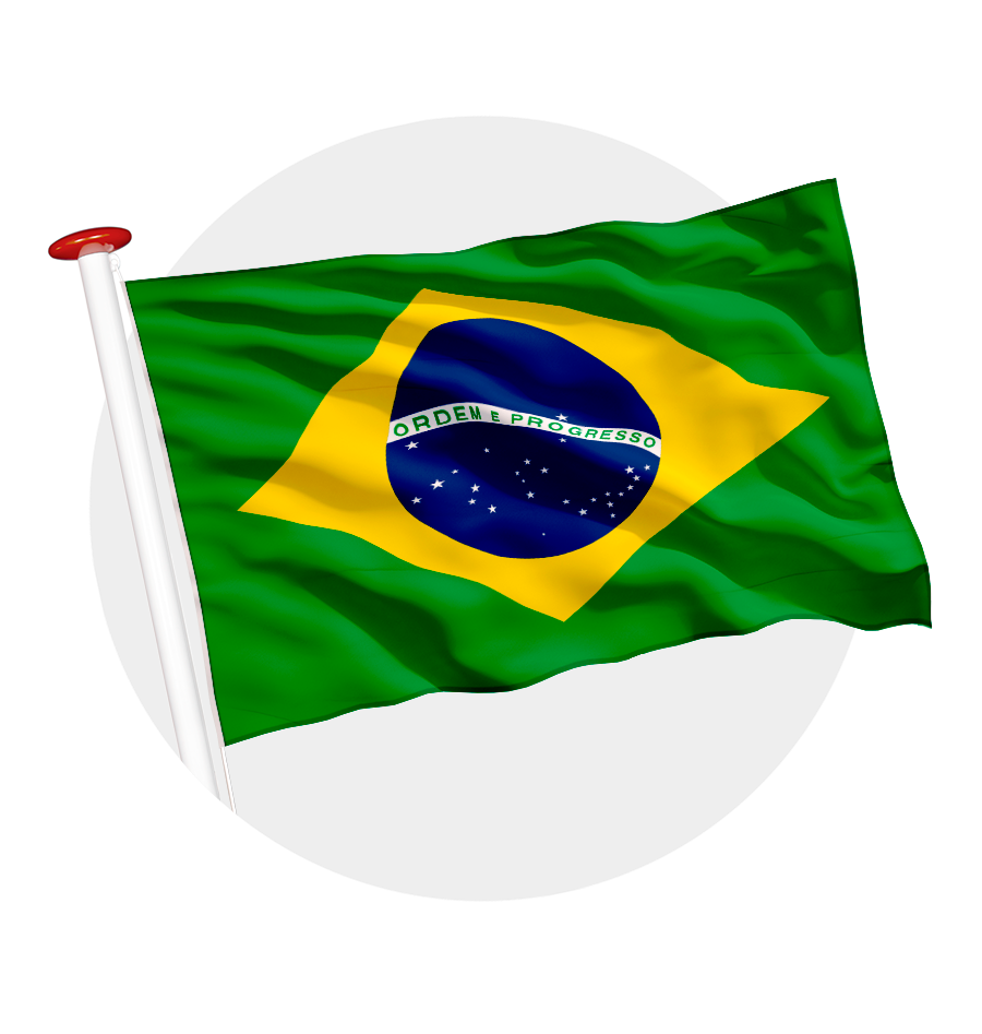 vlag Brazilië