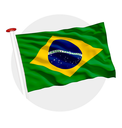vlag Brazilië