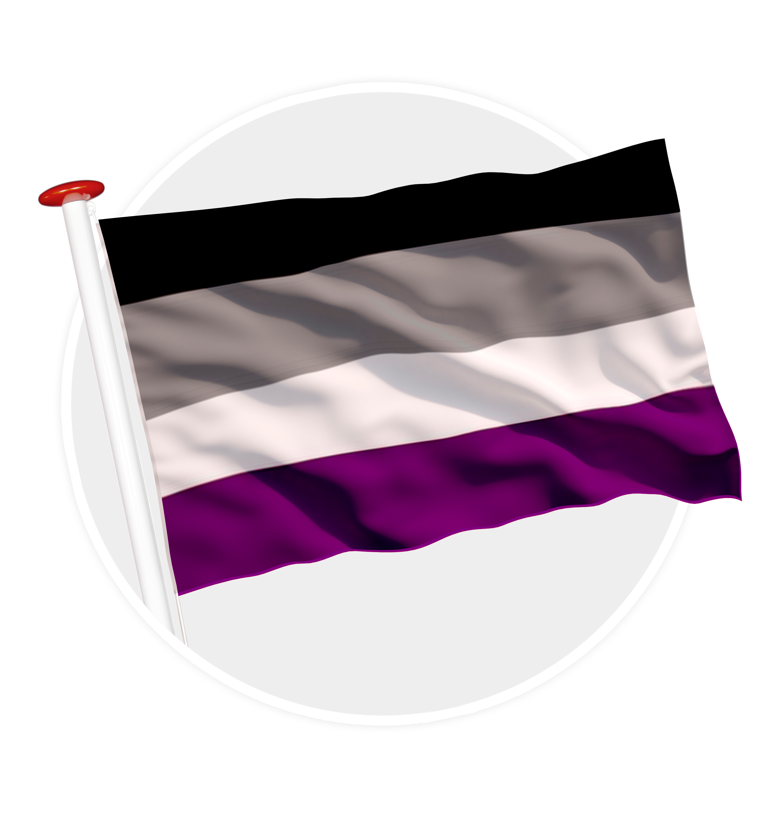 vlag A-Seksueel pride