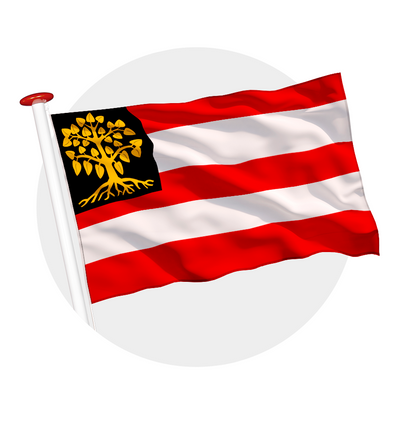 vlag Den Bosch