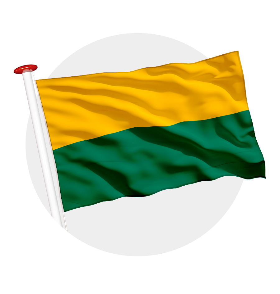 vlag Den Haag