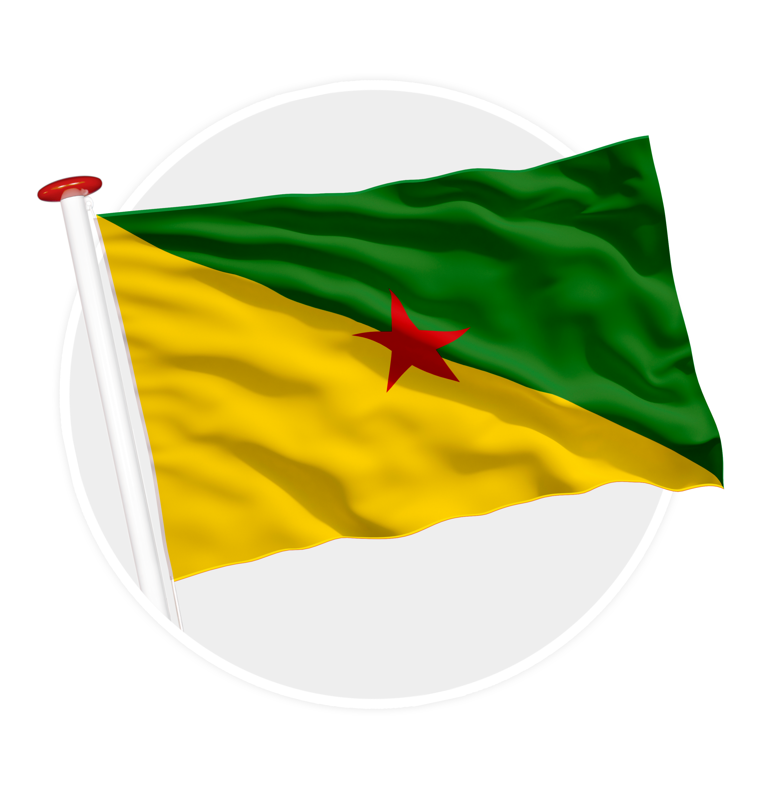 vlag Frans-guyana