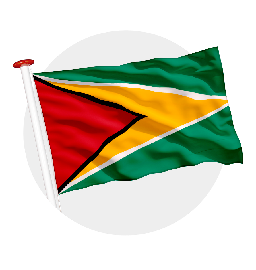 vlag Guyana