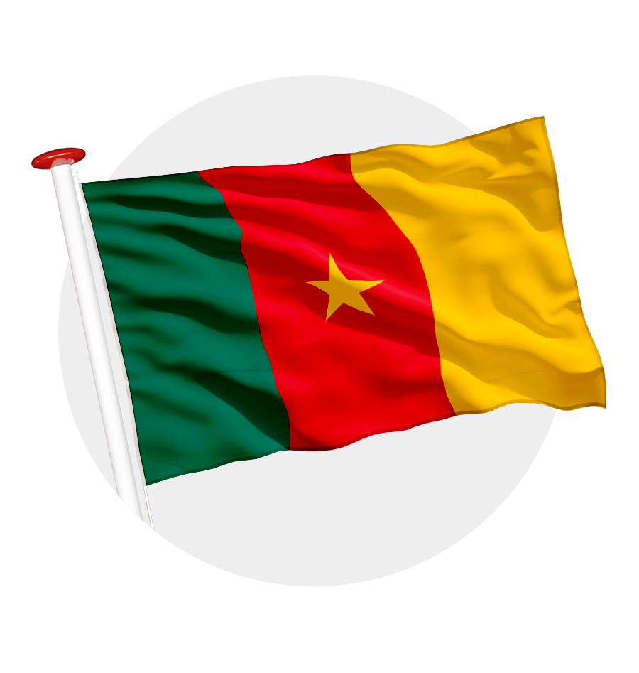 vlag Kameroen