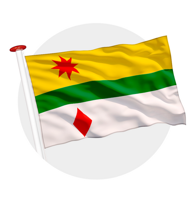 vlag Lansingersland
