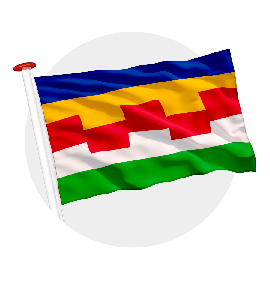 vlag Maasdriel
