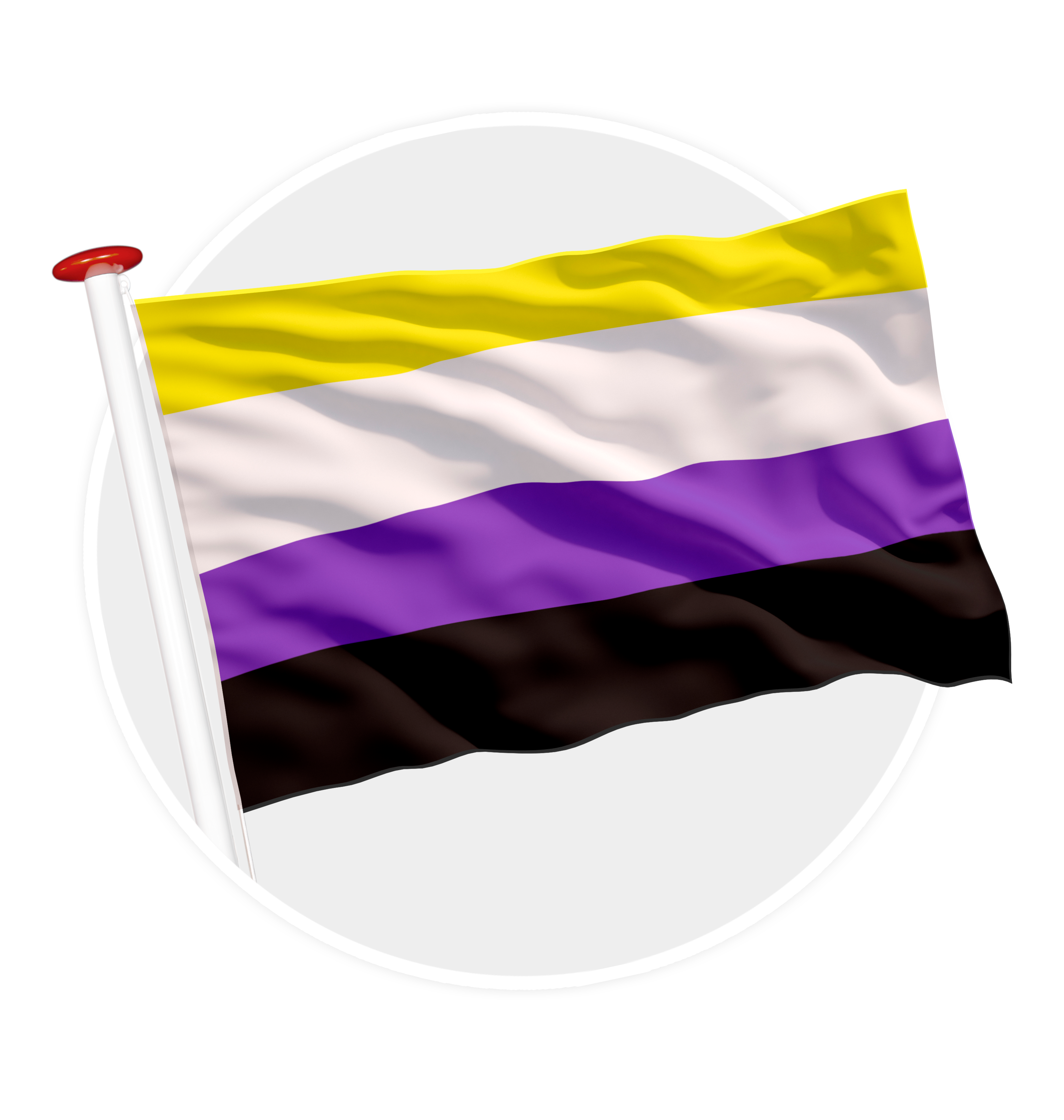 vlag non binaire pride