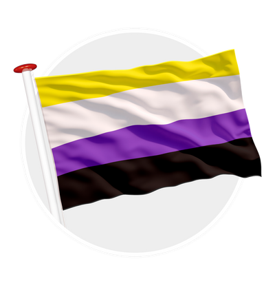 vlag non binaire pride