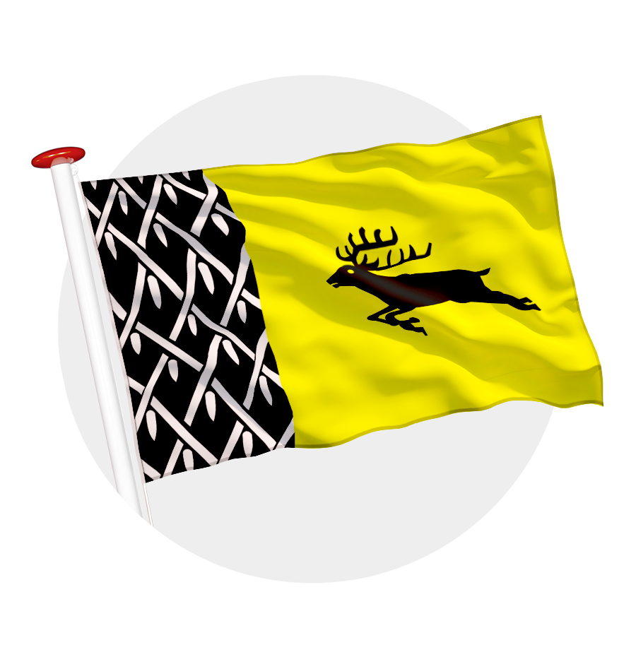 vlag Nunspeet