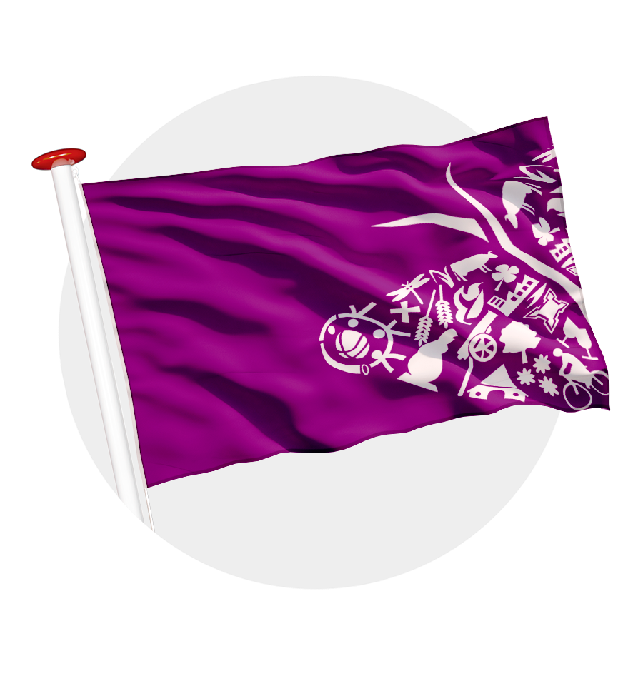 vlag Oost Gelre