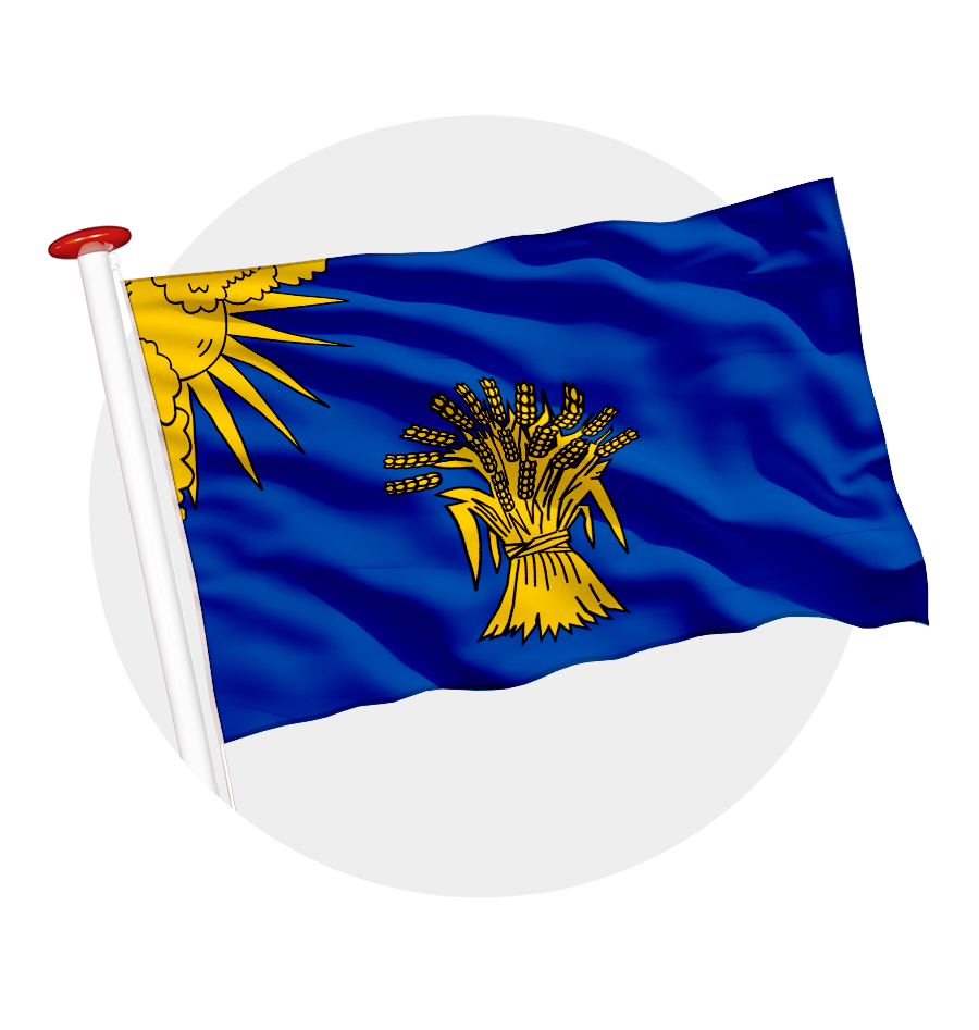 vlag Reusel- de MIerde