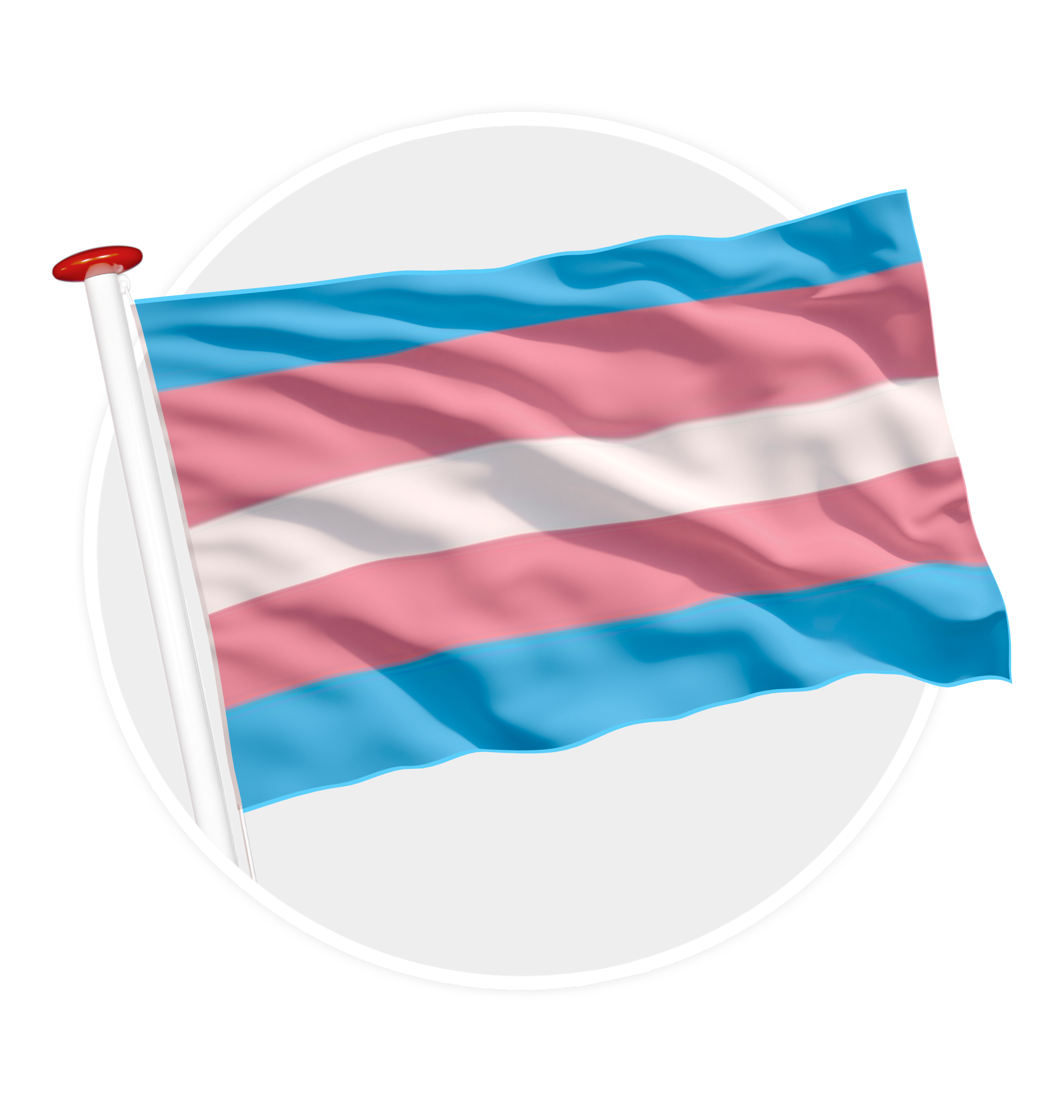 vlag Transgender Pride