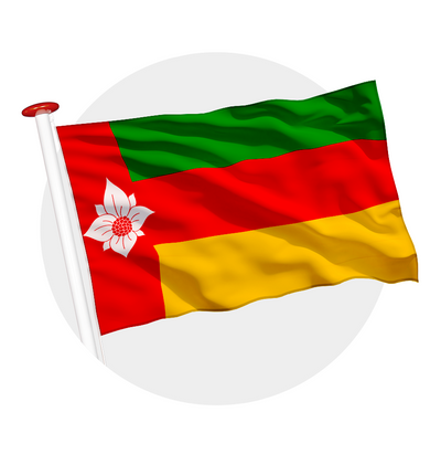 vlag Tynaarloo